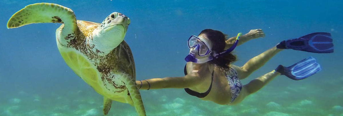 St. Vincent and the Grenadines